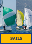 [sails g]