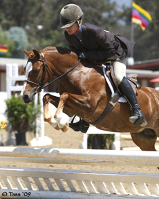 Glenhaven Carmela Rose