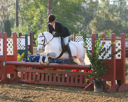 Chaparral's Ladyhawk