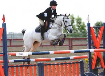 ZIPPITY CRICKET JUMP